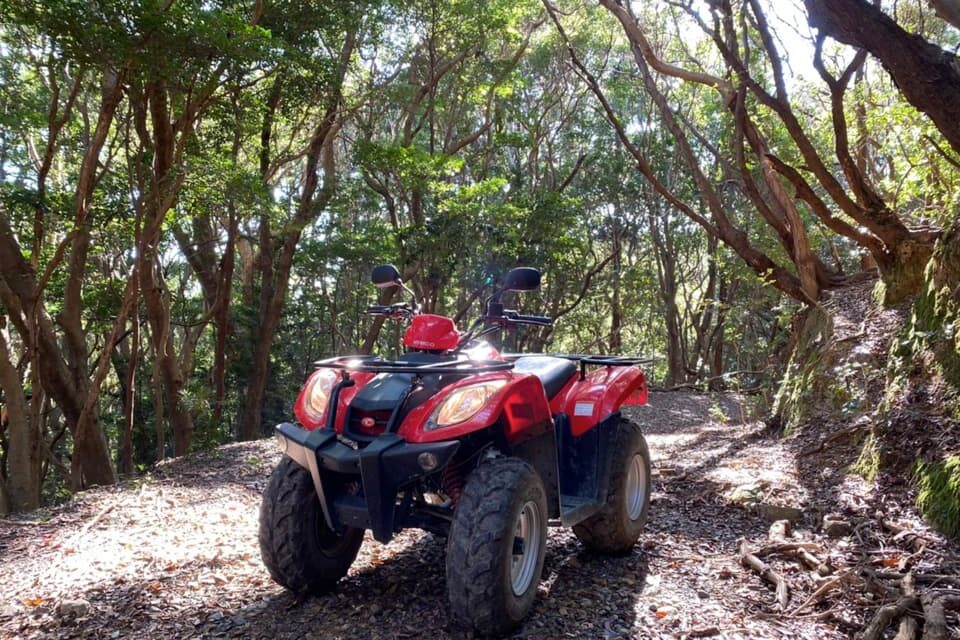 LINE_ALBUM_足場_221214_5 copy